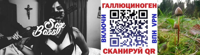 купить закладку  Волхов  ОМГ ОМГ вход  Галлюциногенные грибы мухоморы 