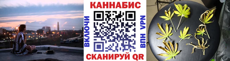 Бошки марихуана конопля  Волхов 